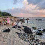 BOCA CATALINA BEACH BOCA CATALINA BEACH