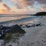 BOCA CATALINA BEACH BOCA CATALINA BEACH