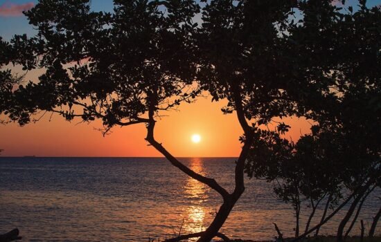 EAGLE BEACH EAGLE BEACH