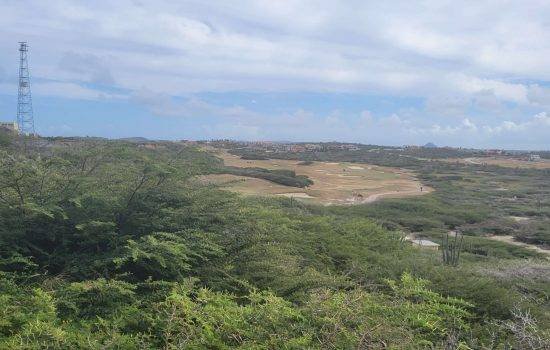 California Lighthouse area