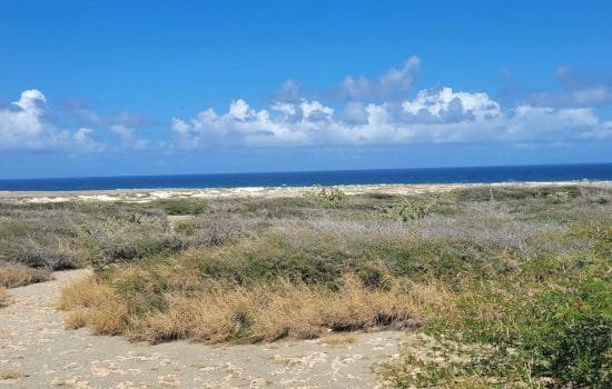 California Lighthouse area