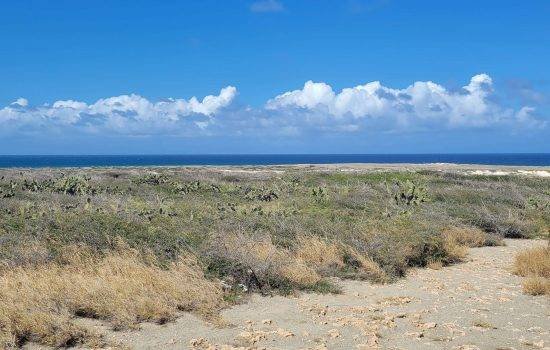 California Lighthouse area