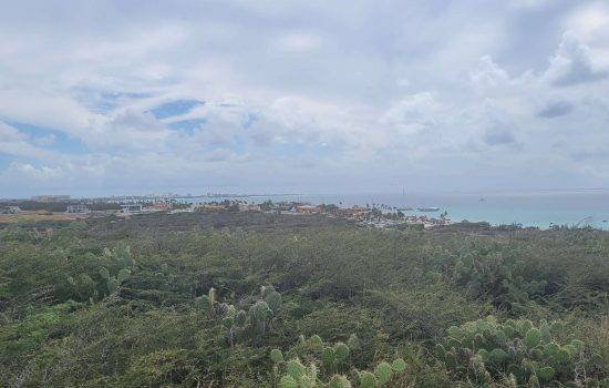 California Lighthouse area