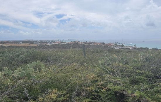 California Lighthouse area