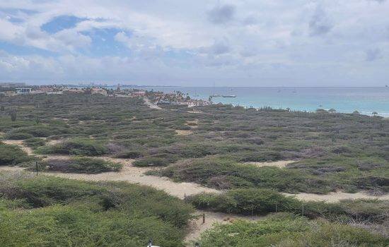 California Lighthouse area