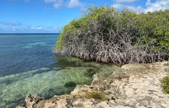 Santo Largo Beach Santo Largo Beach