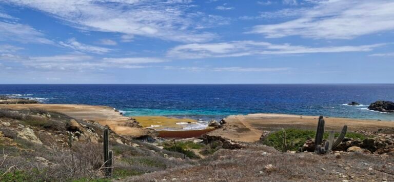 Shark Bay Beach
