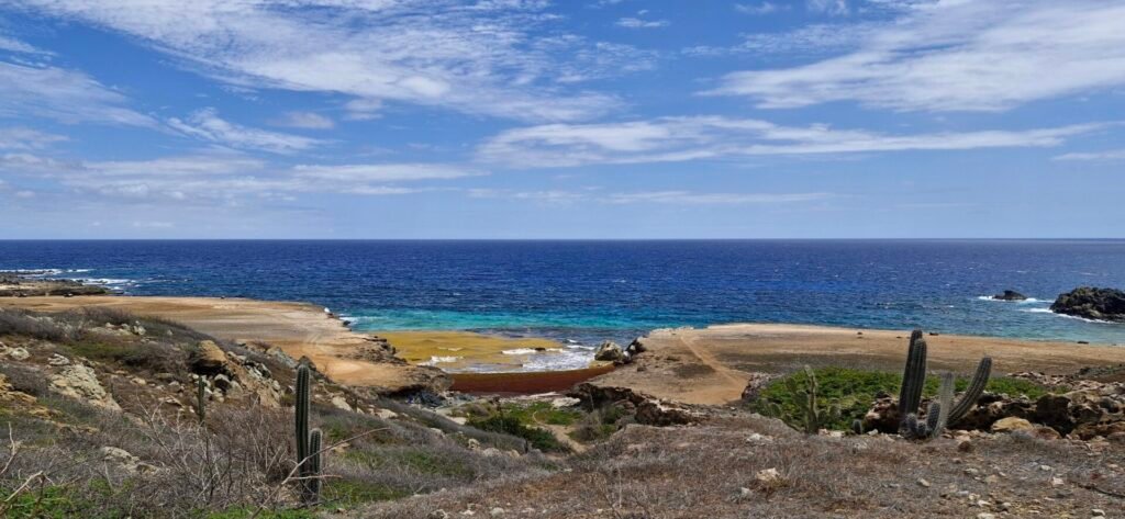 Costa Noordoost Di Aruba 28Shark Bay Beach29 15 5 1024x473