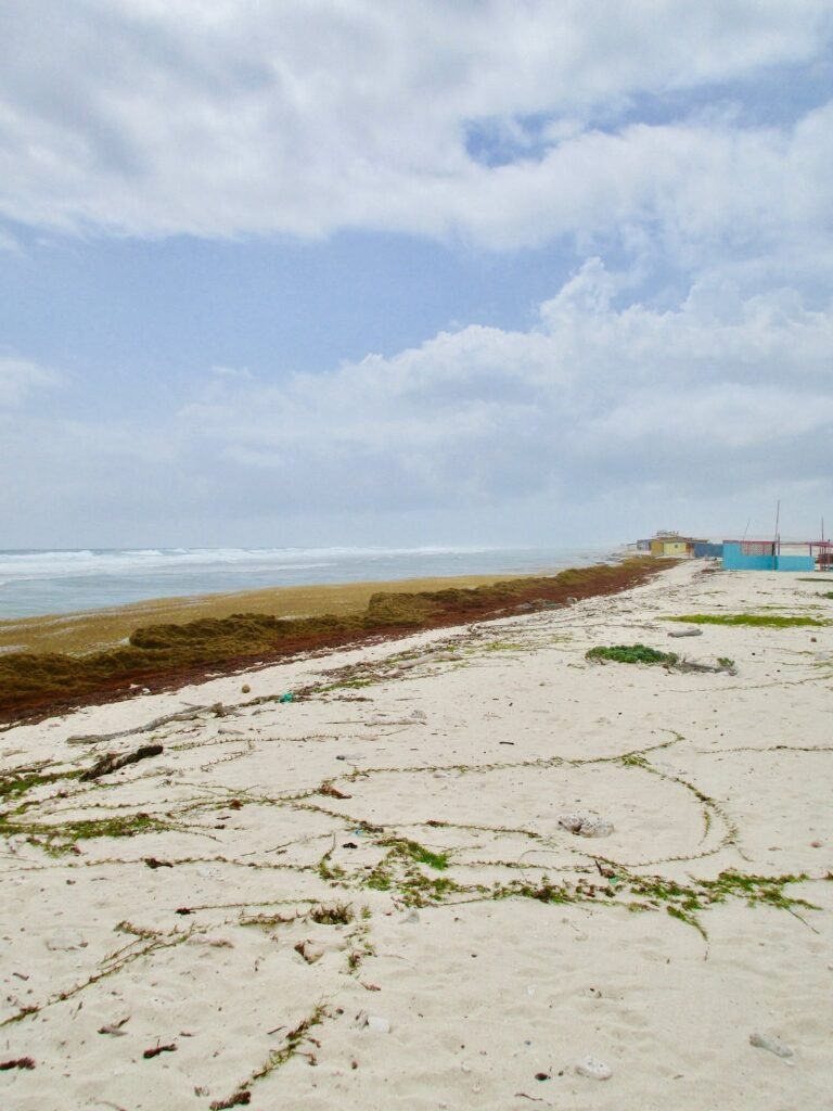 Grapefield Beach