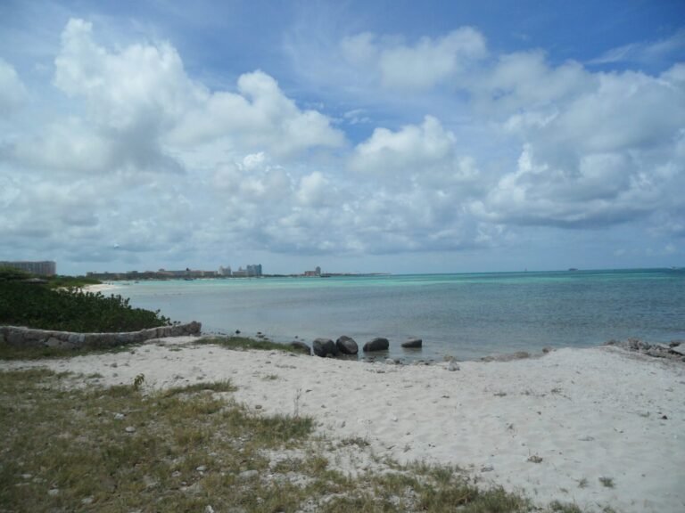 Hadicurari Beach (Fisherman's Huts)