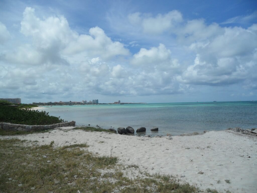 Hadicurari Beach Palm Beach View Noord Aruba 6 1024x768