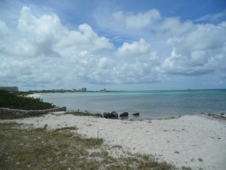 Hadicurari Beach (Fisherman’s Huts)