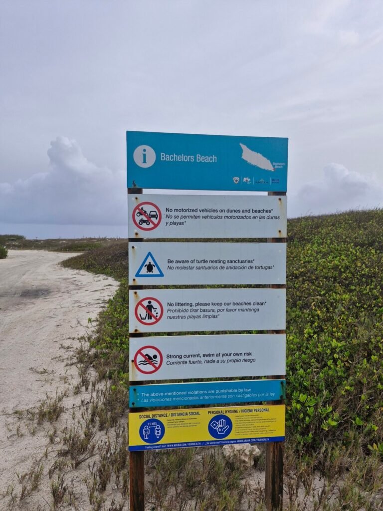 Bachelor's Beach
