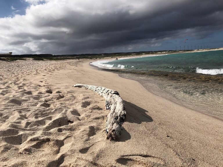 Grapefield Beach