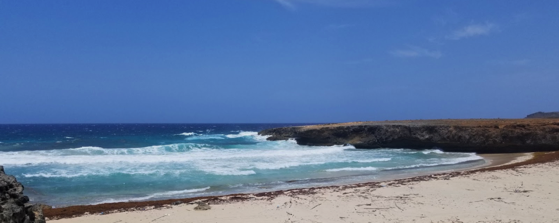 Aruba Beaches Daimari Beach Aruba